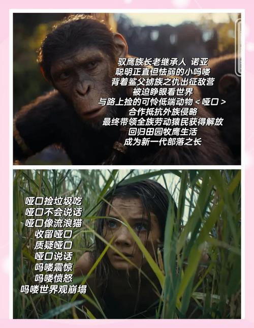 猿球崛起三免费观看_猿球崛起2在线观看_猿类崛起在线观看