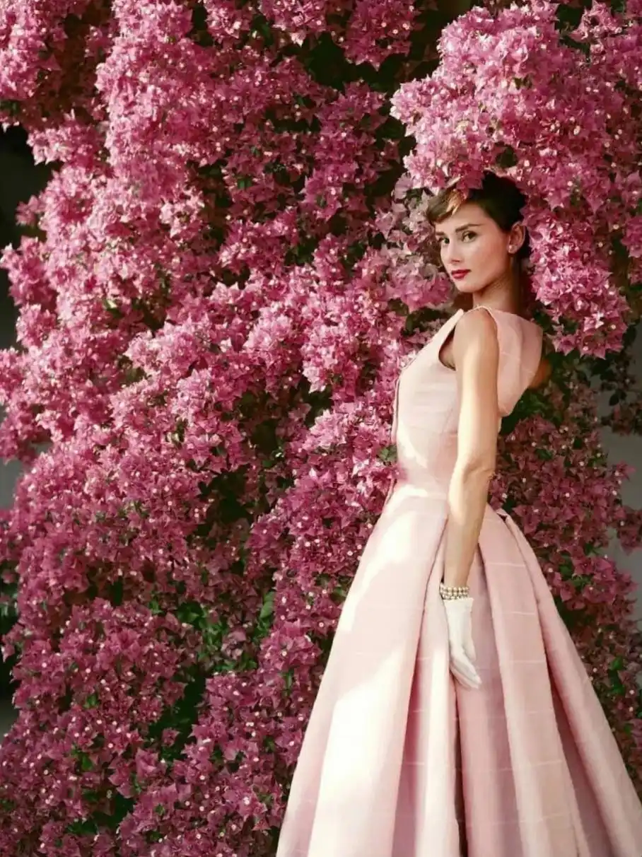 电影女明星 概览_玛丽莲·梦露 传记_奥黛丽·赫本 传记